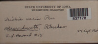 Image Associated With the Occurence